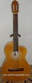 Guitarra Fileteada modelo MDFT 8